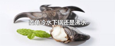 ​煮豌豆冷水下锅还是开水下锅 水煮豌豆用冷水还是热水