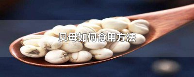 ​贝母可以直接食用吗有毒吗 贝母可以直接食用吗百度百科