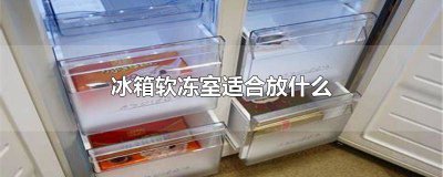 ​冰箱软冻室适合放什么水果呢 冰箱软冻室适合放什么水果好