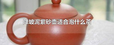 ​降坡泥泡绿茶好吗 降坡泥泡红茶合适吗