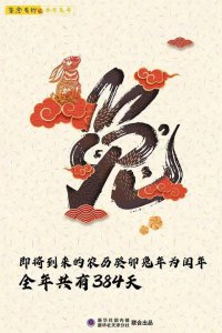 ​今年是什么年(知道吗？今年兔年，有384天)