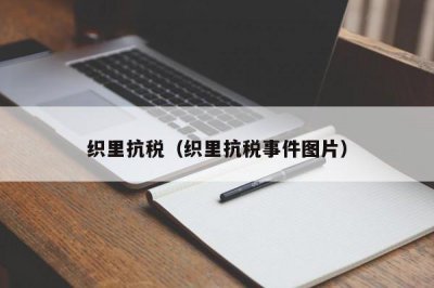 ​织里抗税（织里抗税事件图片）