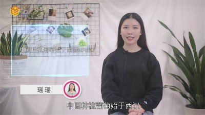 ​中国种植葡萄始于什么时候 中国种植葡萄始于东汉