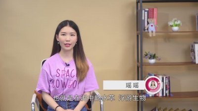 ​小虾要吃什么才能长大 小河虾可以长大吗