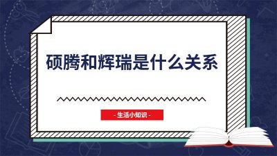 ​辉瑞硕腾卫佳 卫佳捌是辉瑞还是硕腾