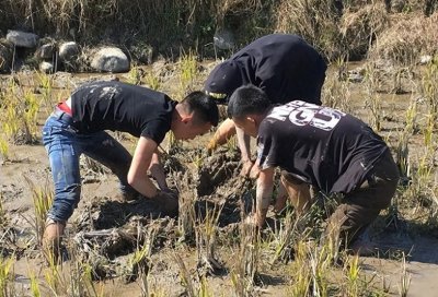​黄鳝是农田害虫吗？繁殖后会变性，吃它不用去内脏，但血液有毒