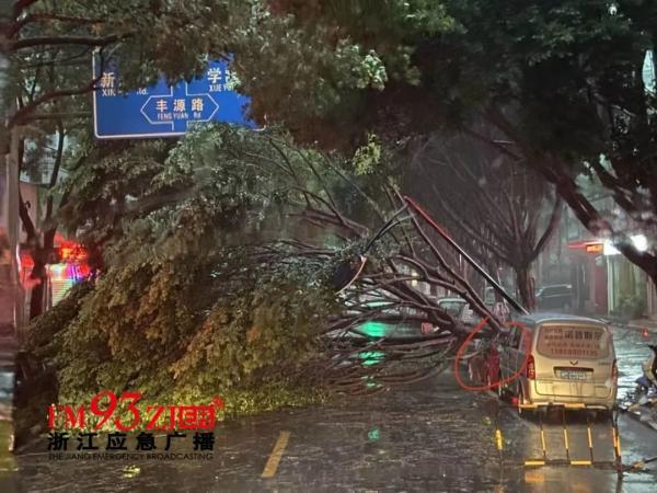 乐清台风怎么样了（在温州乐清登陆）(9)