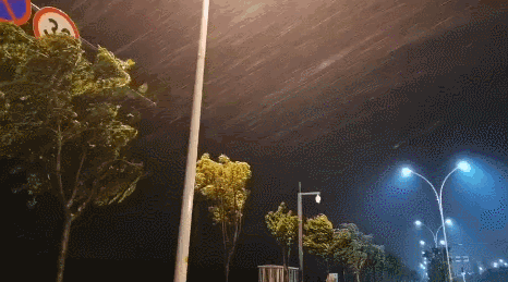 乐清台风怎么样了（在温州乐清登陆）(4)