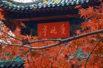​关于离别的现代诗歌_关于离别的现代诗自创