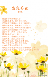 ​推宫斗文《进击的宠妃》《妃嫔这职业》《三千水》皇上都成了配角