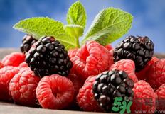 桑葚是发物吗?桑葚是不是发物?.png 桑葚是发物吗?桑葚是不是发物?.png