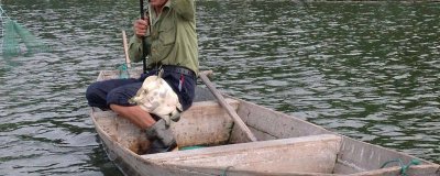 用什么鱼饵钓甲鱼好 用什么鱼饵钓甲鱼效果好