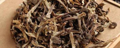 鹿茸菇不能和什么一起吃