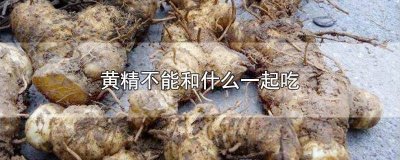 黄精可以吃不 黄精可以当饭吃吗