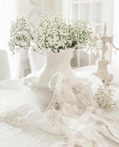 满天星的花语和寓意(满天星需要插在水里吗)