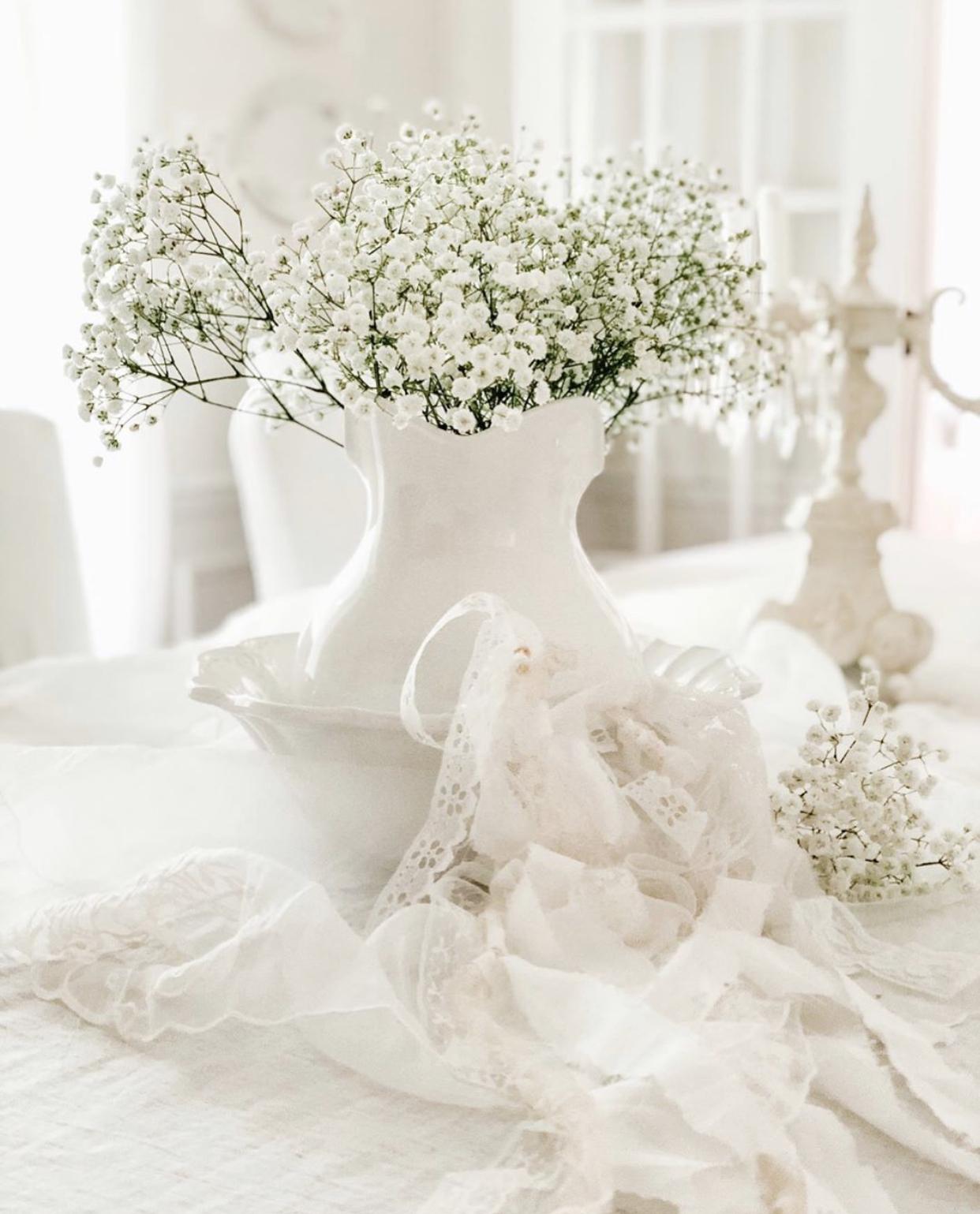 满天星的花语和寓意(满天星需要插在水里吗)