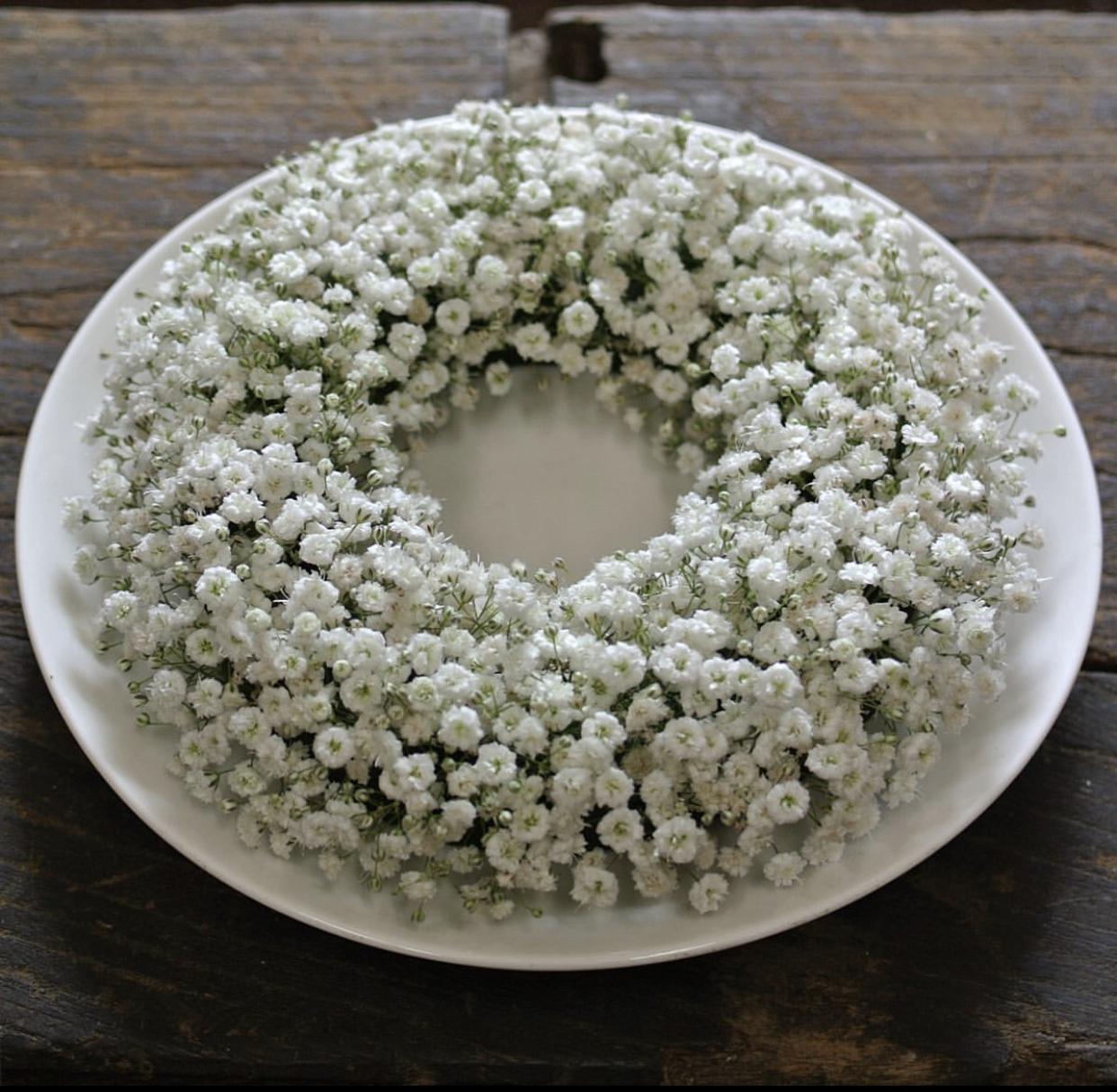 满天星的花语和寓意(满天星需要插在水里吗)