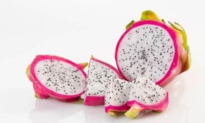 ​火龙果可以改善便秘吗(火龙果治便秘有用吗)