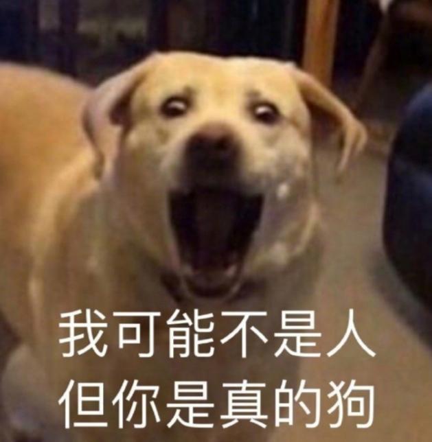 网络用语你是真的狗是什么意思()