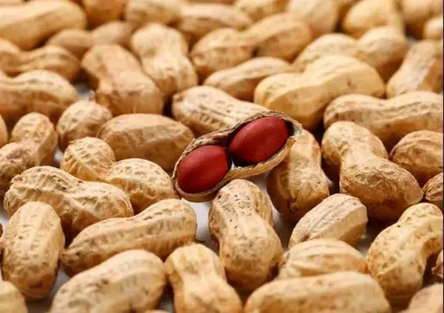 花生的寓意(花生象征爱情暗示)