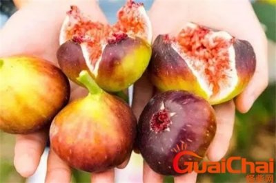 ​无花果怎么吃正确方法 无花果怎么吃营养最好