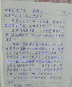 ​茶花记录卡怎么写，茶花记录卡怎么写？