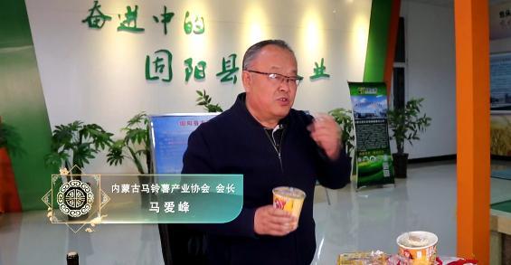 内蒙古红皮土豆怎么烧(内蒙古马铃薯到底有多好吃)(8)