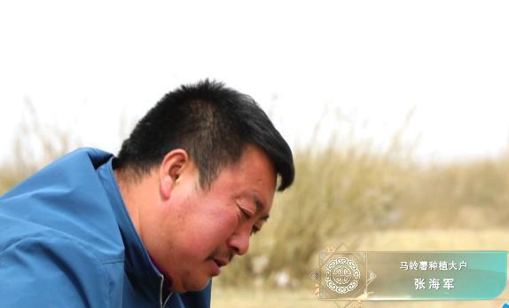 内蒙古红皮土豆怎么烧(内蒙古马铃薯到底有多好吃)(6)