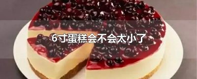 ​6寸蛋糕会不会太小了
