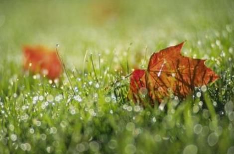 白露穿什么衣服合适，农村有个俗话说：“白露身不露，寒露脚不露。”有什么深层的道理吗？图5