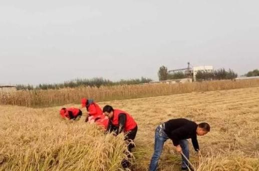 白露穿什么衣服合适，农村有个俗话说：“白露身不露，寒露脚不露。”有什么深层的道理吗？图4