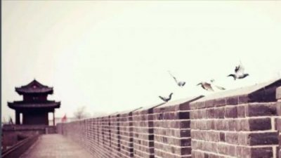 ​辽宁兴城旅游攻略，辽宁兴城旅游景点大全