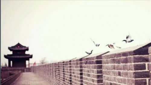 辽宁兴城旅游攻略，辽宁兴城旅游景点大全-第1张图片-