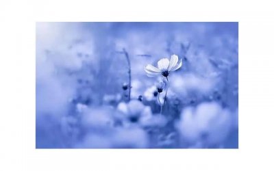 ​给女生送什么七夕礼物好 女生七夕礼物清单