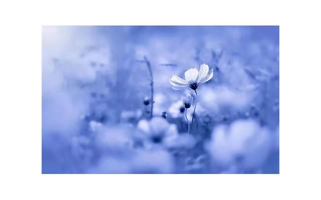 给女生送什么七夕礼物好 女生七夕礼物清单