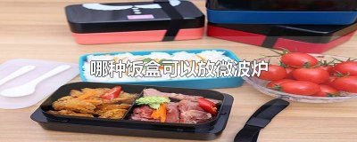 ​哪些饭盒可以放微波炉 可以放微波炉的饭盒有哪些