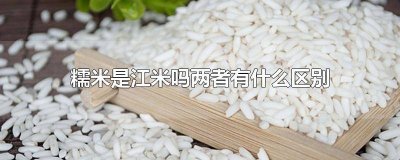 ​糯米和江米有啥区别 糯米和江米啥区别
