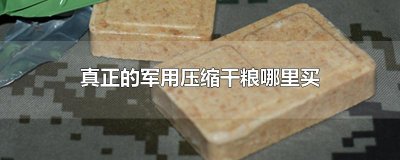 ​真正的军用压缩干粮哪里买