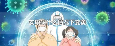 ​安康码什么情况下变黄