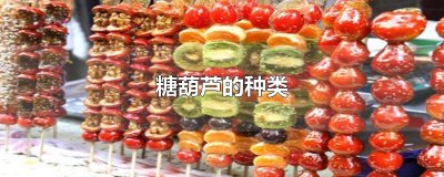 ​糖葫芦的种类