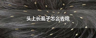​头上长虱子怎么去除