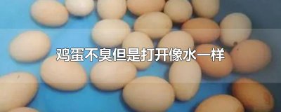 ​鸡蛋不臭但是打开像水一样