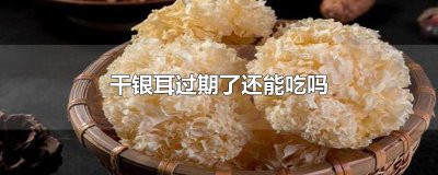 ​干银耳过期了还能吃吗