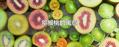 ​猕猴桃的寓意