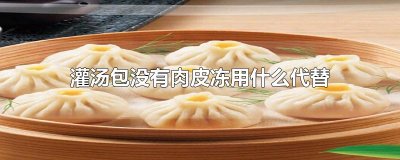 ​灌汤包没有肉皮冻用什么代替