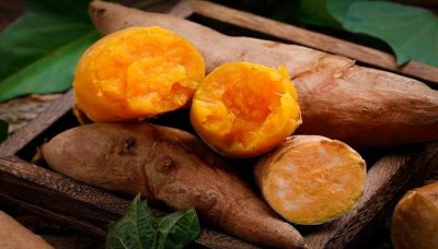 ​红薯230度要烤几分钟才能熟 烤红薯200度多久能熟