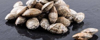 ​花蛤和蛤蜊的区别 蛤蜊的营养价值