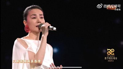 ​2025年央视春晚收视份额创12年来新高