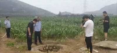 ​云南晋城杀人魔，当年震惊云南的鸵鸟肉事件！