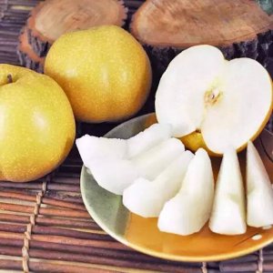 ​简单介绍一下丰水梨